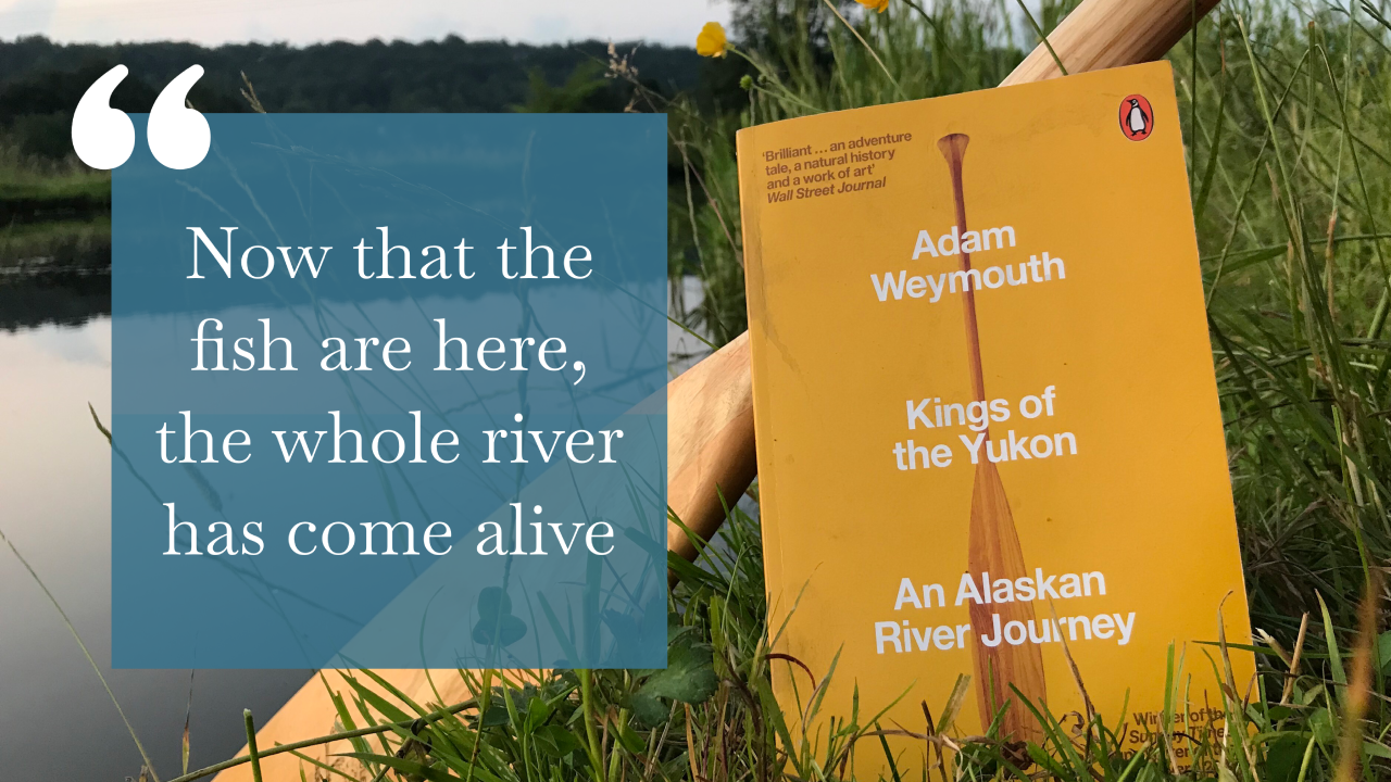 The story of Kings of the Yukon - August 2021