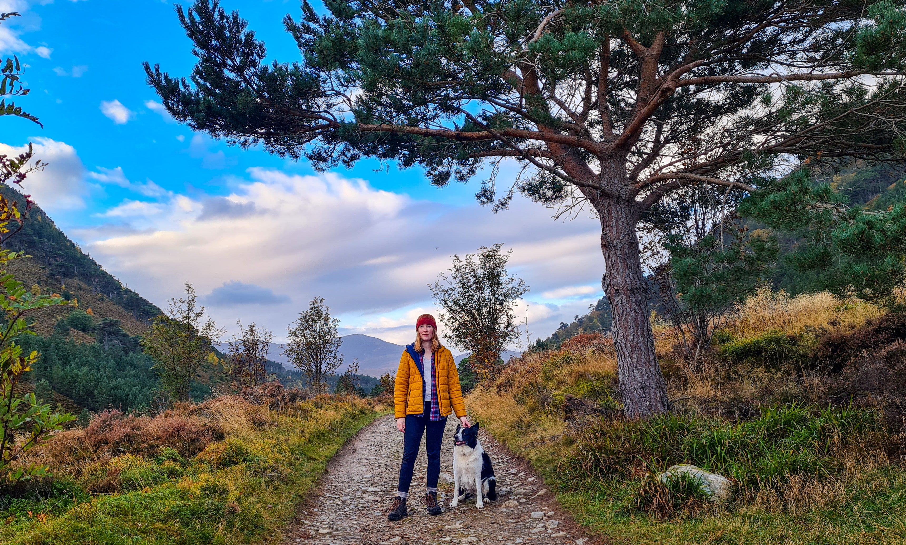 'Regeneration' chosen by Molly aka Hippy Highland Living