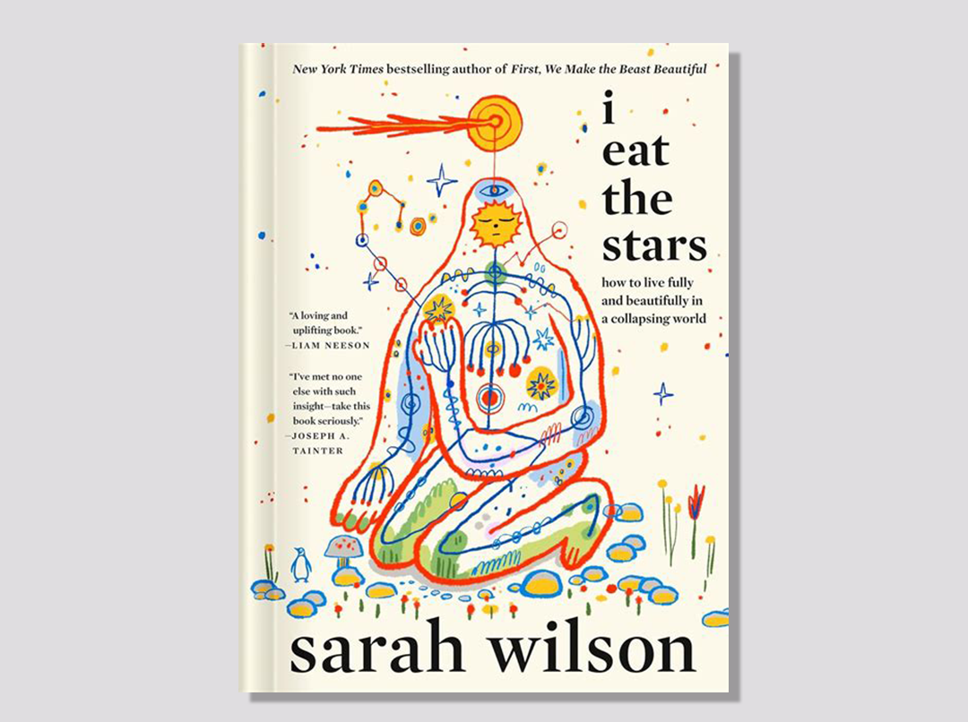 I Eat the Stars - Sarah Wilson