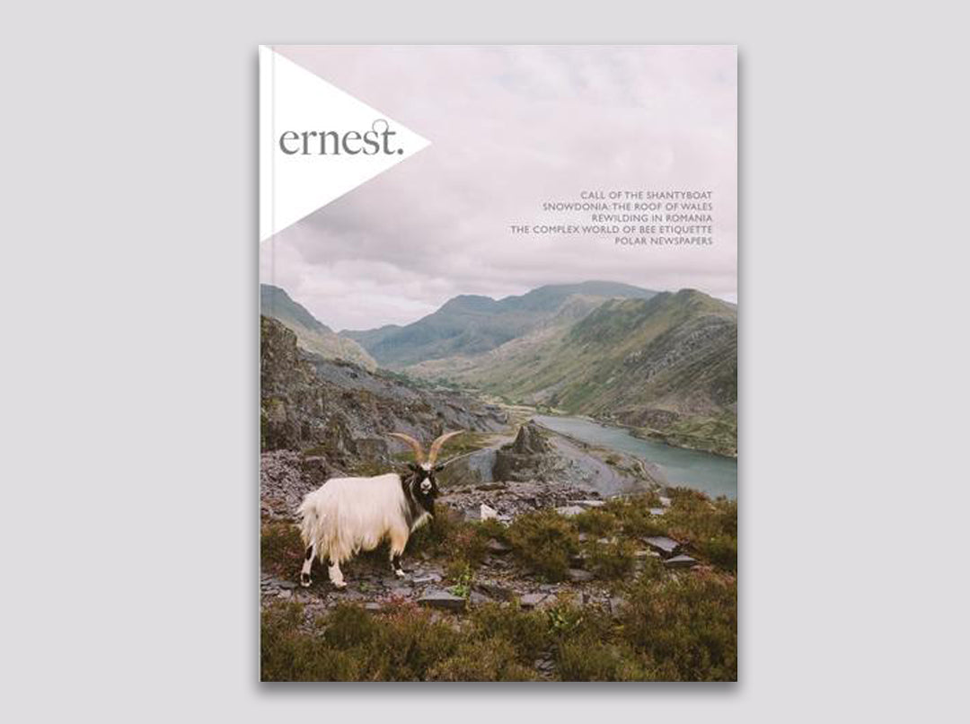 Ernest Journal 8 'The Goat Issue' - December 2018
