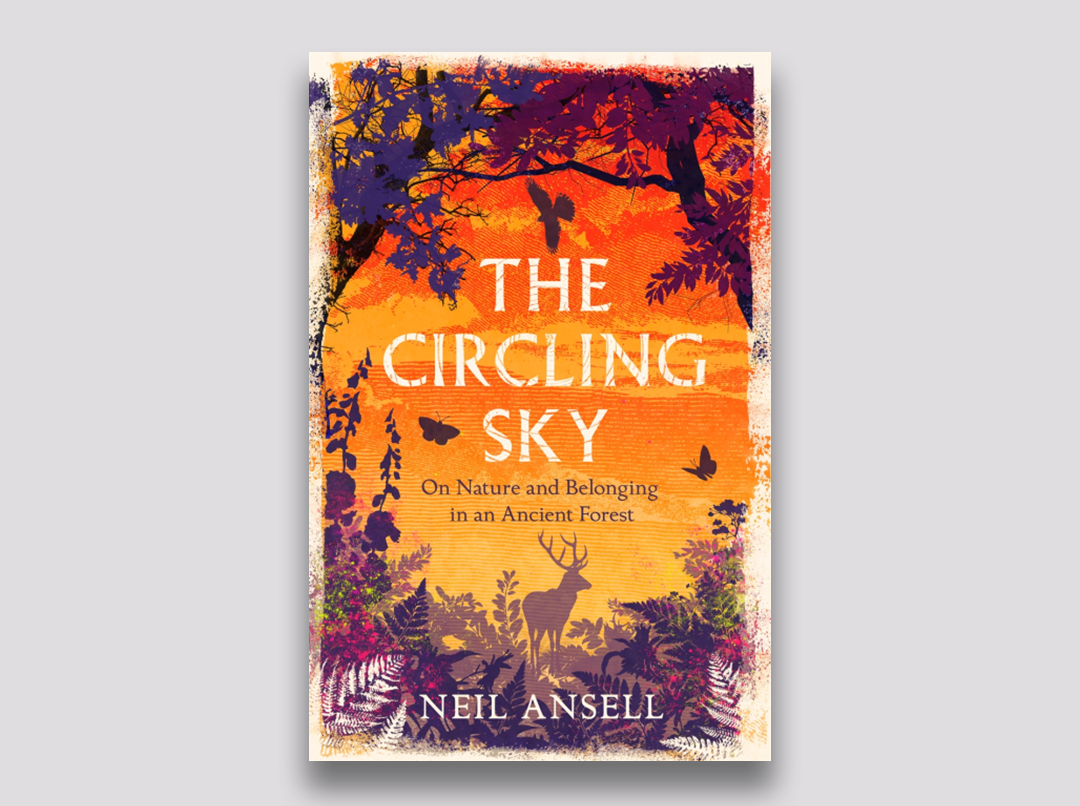 The Circling Sky - Neil Ansell - Jan 2023